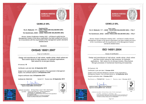 GEMELS получает ISO сертификат