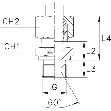 Прямые BSP уплотнение тип B в сборе с B3