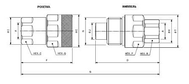 VEP-HD BSP