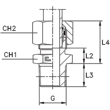 Прямые BSPT уплотнение тип C в сборе с В4