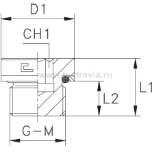 Метрика с внутренним шестигранником, уплотнение тип Н, VH